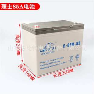 质保一年 85免维护12V85Ah电动叉车适用 理士动力蓄电池6 GFM