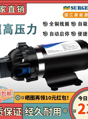 DP-160高压力隔膜水泵12v24v小型电动净水喷雾器增加压路清洗车机