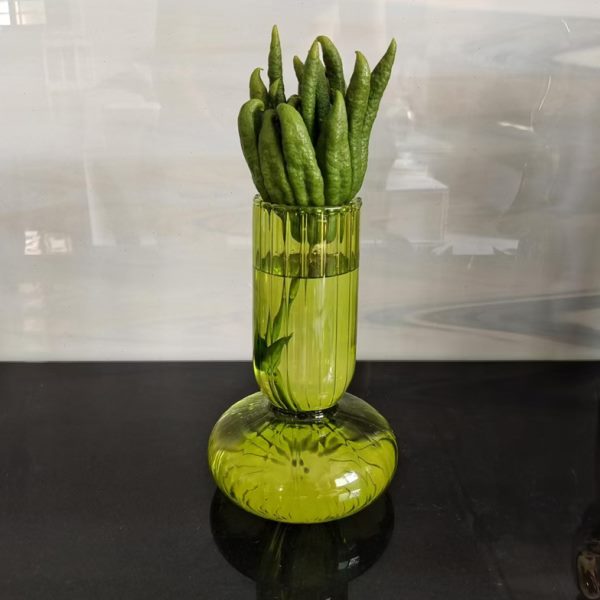 水培器皿子花瓶禅意水养佛手透明橼佛手果供佛玻璃瓶佛手佛香风柑