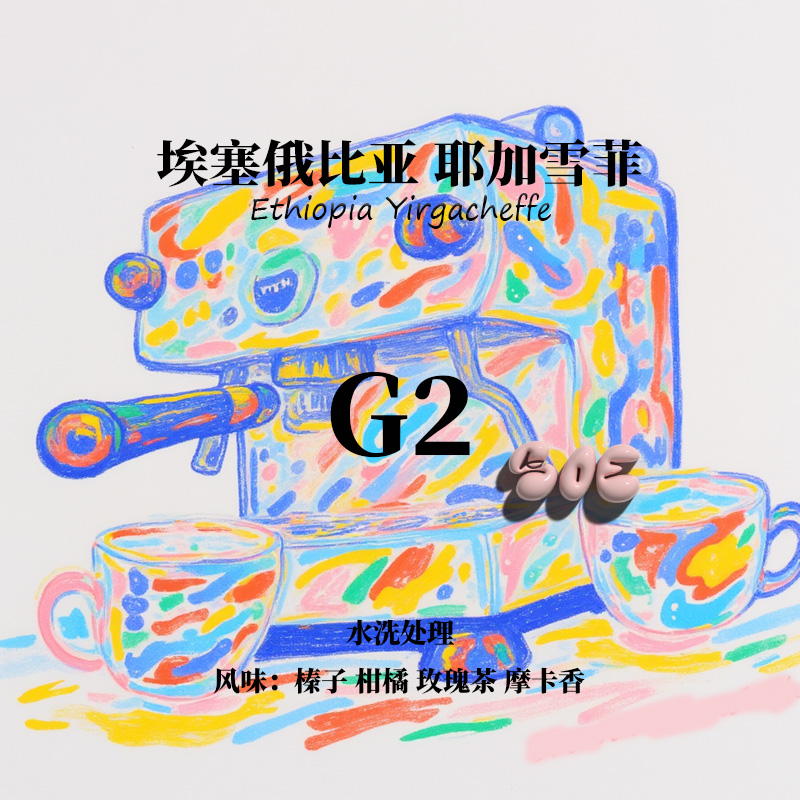SOE咖啡豆 埃塞俄比亚 耶加雪菲 水洗G2单品咖啡 下单烘焙