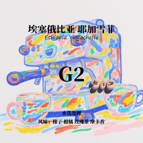 SOE意式咖啡豆 埃塞俄比亚耶加雪菲水洗G2单一产区咖啡下单烘焙