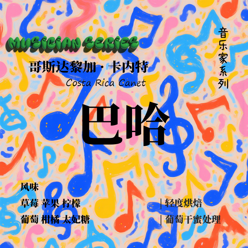 音乐家系列 哥斯达黎加 卡内特 巴哈 葡萄干蜜处理手冲单品咖啡豆