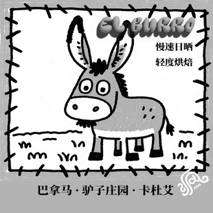 巴拿马驴子庄园卡杜艾非洲棚架慢速日晒手冲单品咖啡豆下单烘焙