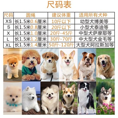 防爆冲P绳幼小型犬中型犬大型犬反光尼龙遛狗狗P型牵引绳超细P链