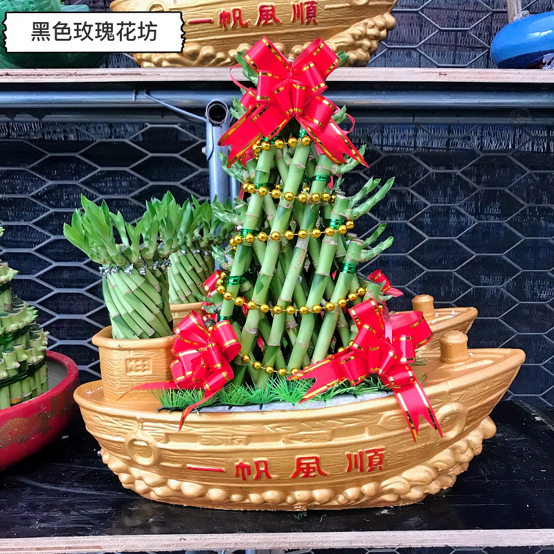竹塔 富贵竹 节节高开运竹 办公室桌面植物 水养盆栽植物室内盆栽