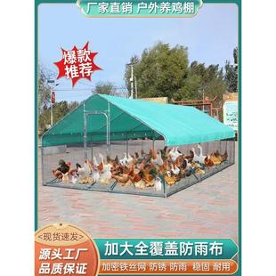 户外养鸡棚鸡笼子家用大号鸡鸭鹅兔养殖笼防雨鸽舍鸡窝室外养鸡棚