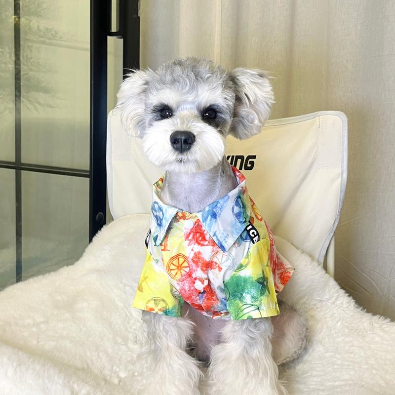 狗狗衣服小型犬夏季薄款潮牌帅气衬衫雪纳瑞博美泰迪透气防掉毛