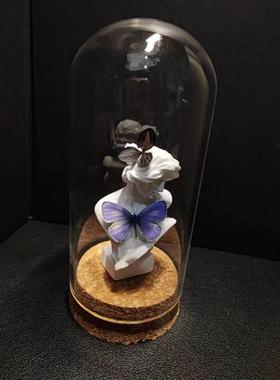 妩灰蝶标本小灰蝶雕塑小众手工收藏礼物真蝴蝶艺术玻璃罩摆件