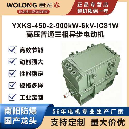 卧龙YXKS-450-2-900kW-6kV-IC81W-B3压普通三相异步电动机