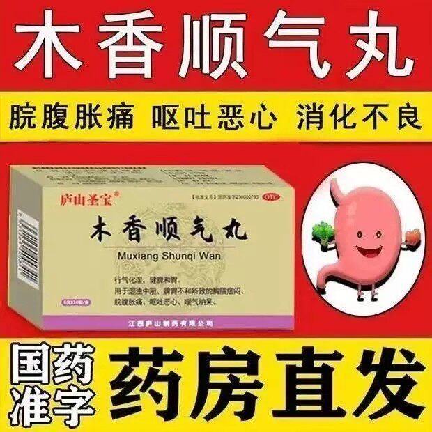 脾胃不和湿浊中阻 脘腹胀痛纳呆调理 庐山圣宝木香顺气丸10袋