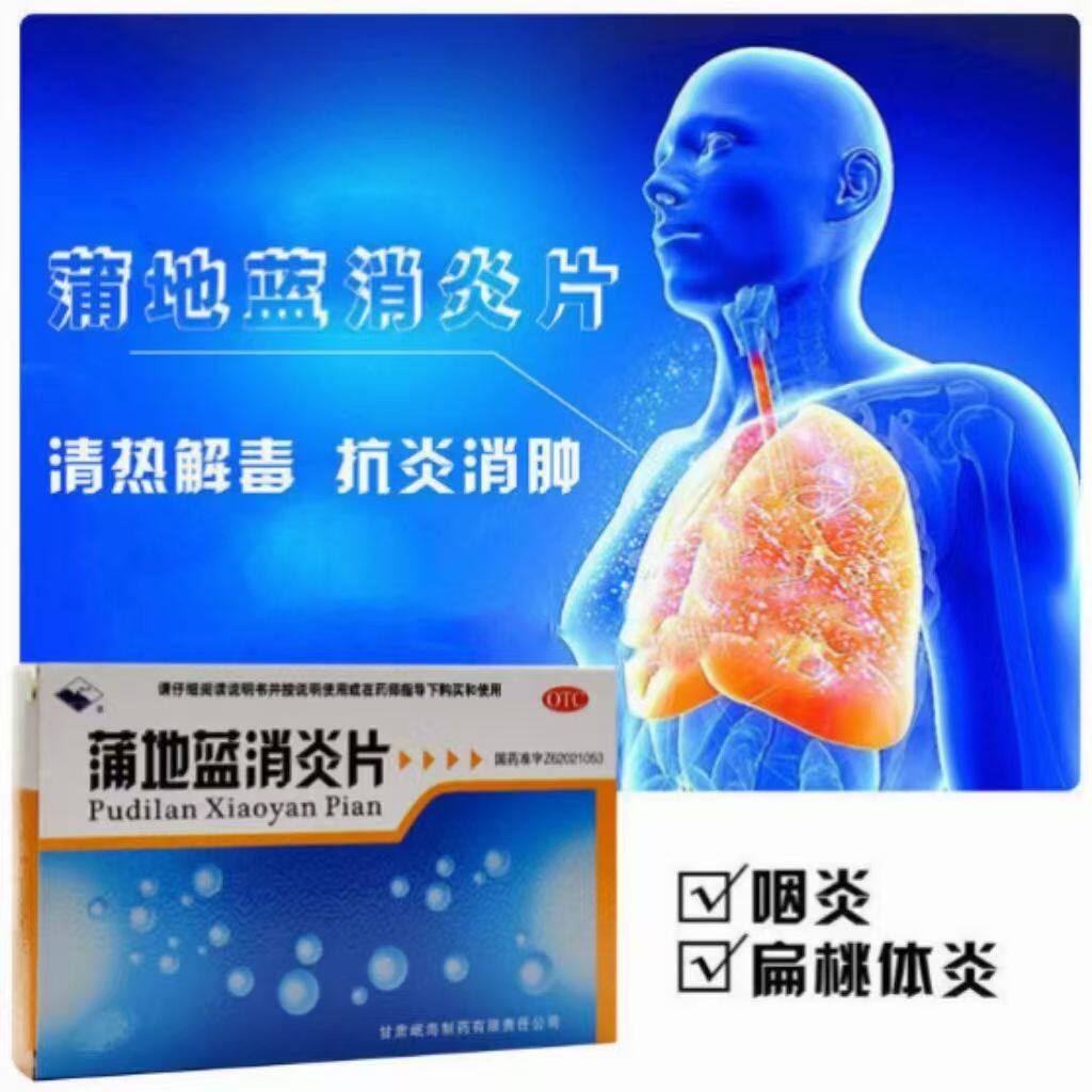 咽炎扁桃腺炎疖肿 消炎消肿 嗓子疼皮肤疖肿岷州蒲地蓝消炎片48片