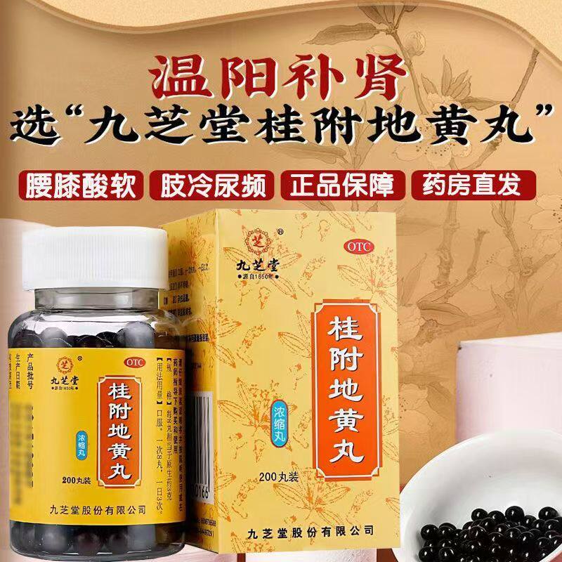 温补肾阳 针对腰膝酸软 肢冷尿频肾阳虚 九芝堂桂附地黄丸200丸