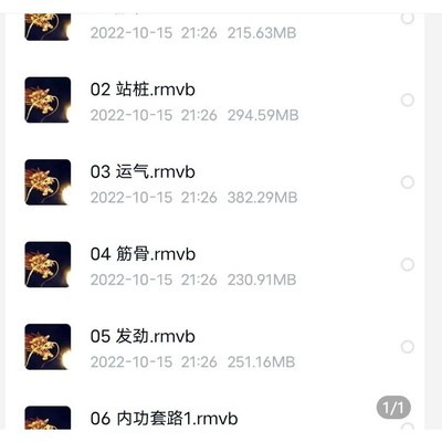 唐T元Y龙L唐门内家拳教材14个