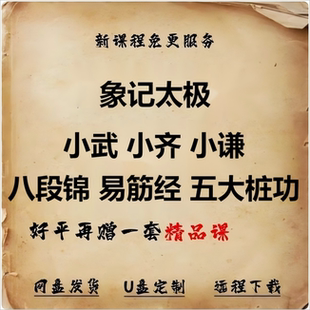象记太极十式八段锦精要小武小齐小谦五大桩功易筋经视频课程