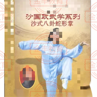 李L斌沙国政武学视频 沙式八卦连环掌对练新八掌蛇形掌形意散手炮