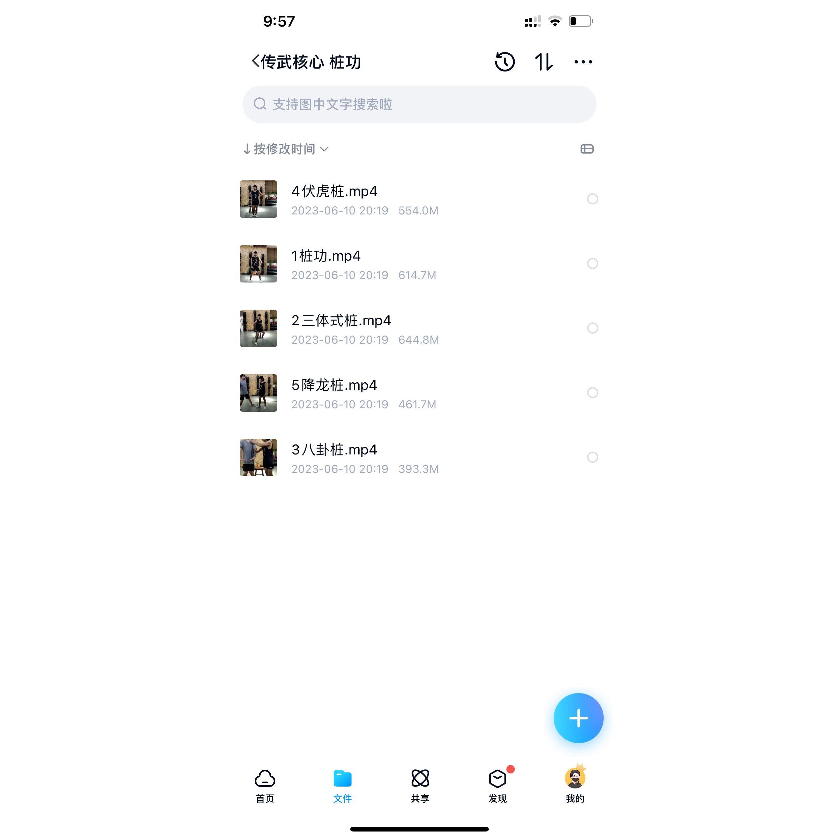 传武核心桩功三体式降龙桩八卦桩伏虎桩传统桩功详解