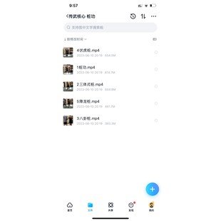 传武核心桩功三体式降龙桩八卦桩伏虎桩传统桩功详解