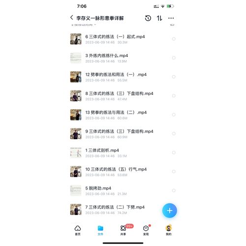 李存义一脉形意拳详解视频课程全网武术功夫养生功夫课程合集