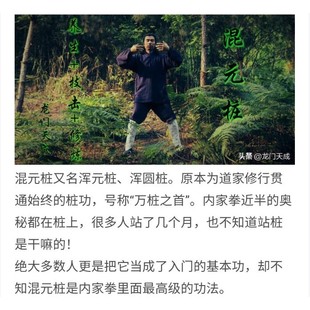 龙门天成万桩之首道家混元桩二十四集精解浑元桩视频精讲