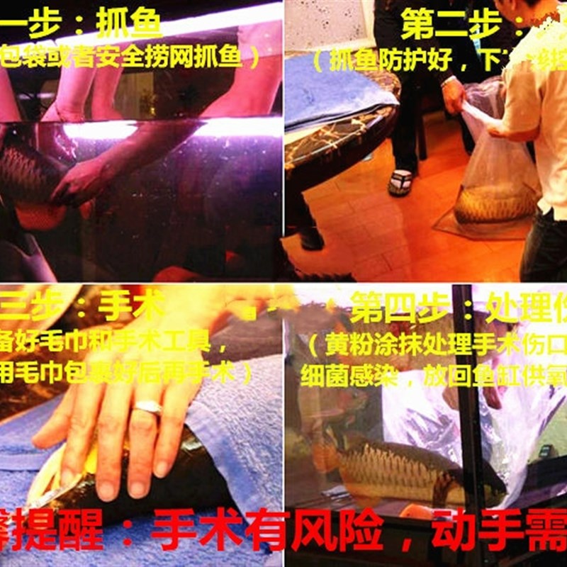 龙鱼手术麻醉修尾水灵剂观赏鱼安定剂水族类鱼药龙鱼镇定运输