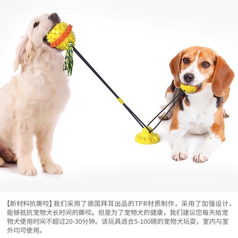 QZee狗狗吸盘漏食球玩具磨牙洁齿耐咬橡胶球小中大型犬解闷互动棒