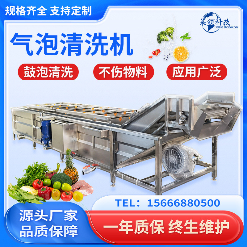 全自动果蔬气泡清洗机商用桃子蓝莓清洗机器大型净菜加工流水线