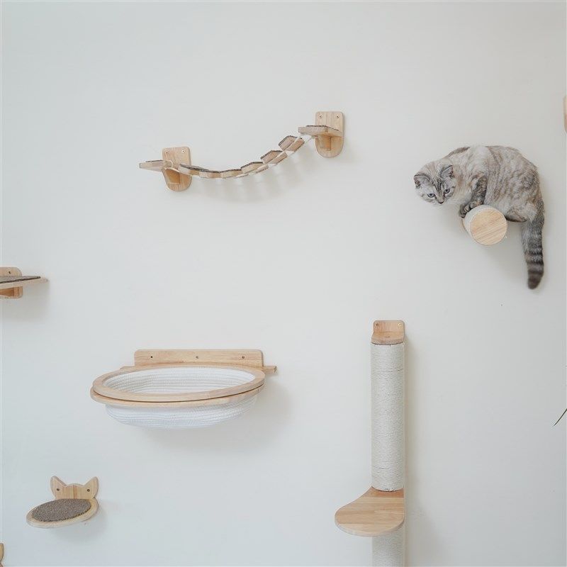 冬季保暖壁挂式组合猫爬架猫窝爬梯软梯抓柱玩具,宠物/宠物食品及用品,猫爬架,淘宝优惠券,粉丝福利购,淘宝优惠卷