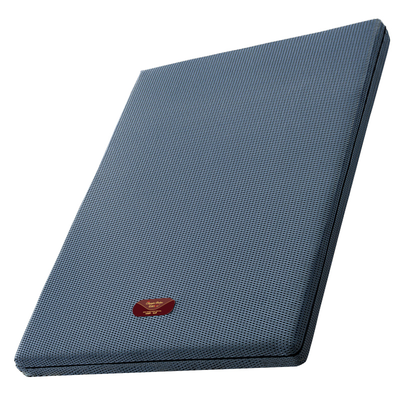 护腰护脊椎硬板床垫椰棕垫薄款家用硬垫棕榈床垫太软加硬神器变硬