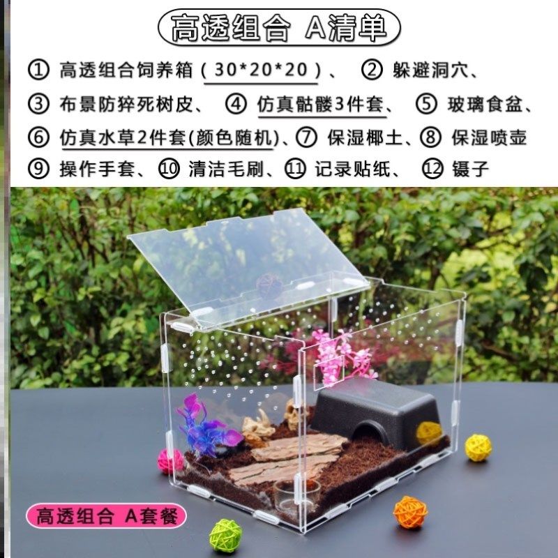 甲虫饲养箱 爬宠饲养盒亚克力透明塑料大号甲虫守宫爬宠饲养箱,宠物/宠物食品及用品,爬宠缸/箱,淘宝优惠券,粉丝福利购,淘宝优惠卷