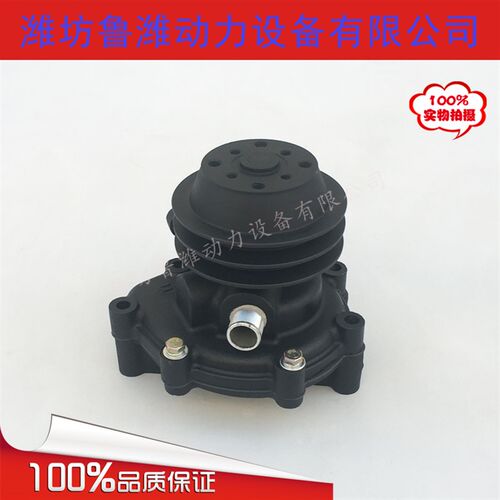 水泵总成载铲潍坊发动  柴油水泵循环淡水泵