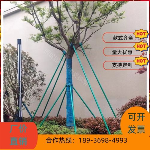 树木支撑架钢管固定器行道大树乔木防风园林烤漆镀锌树支撑