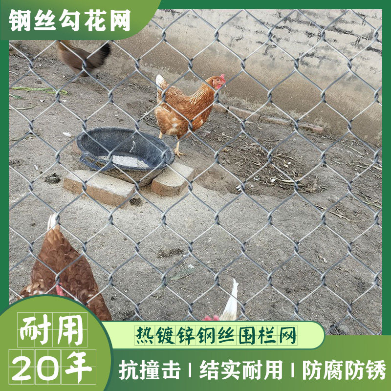 农村菜地羊舍园鱼池鸡棚窝猪圈铁栏栅围栏围网生锈铁丝网子爬藤