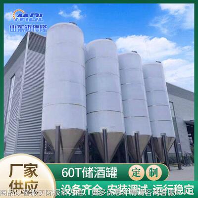 酿造家设备 酿啤酒GEG设备厂 黑黄白啤酒设精备精酿啤发酵罐