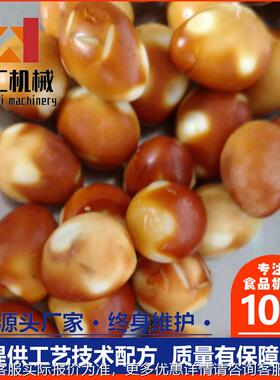 LNT城恒汇不锈钢商用熏豆干机2器 019年款全自动豆腐新干熏烤诸炉