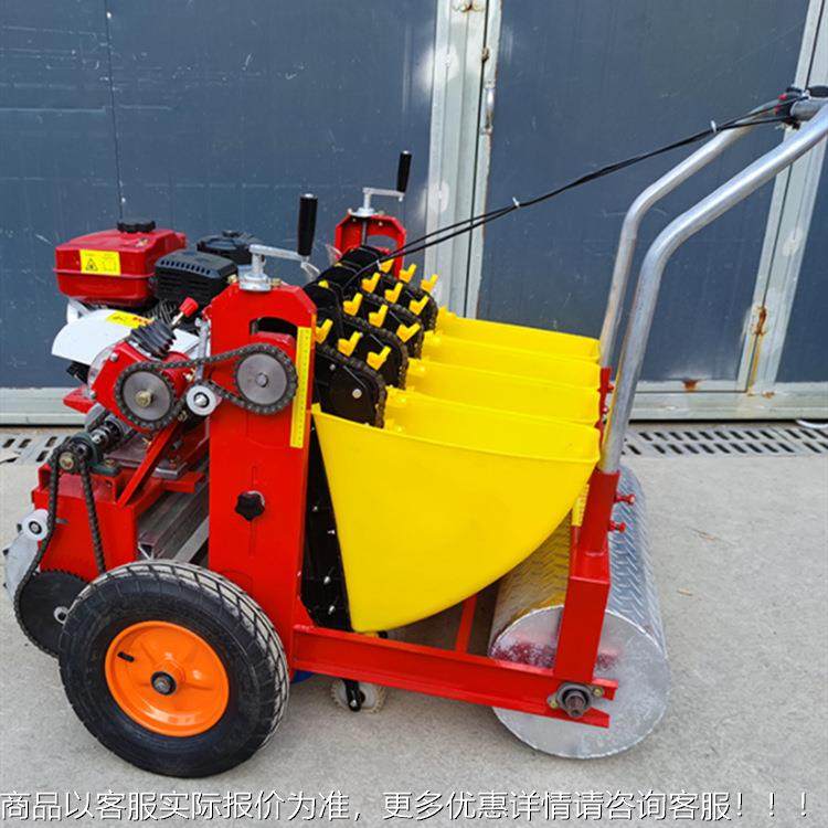 汽油带动种大蒜播种机 农用小LF-80型大蒜植机 多行播机种机,农机/农具/农膜,播种栽苗器/地膜机,淘宝优惠券,粉丝福利购,淘宝优惠卷