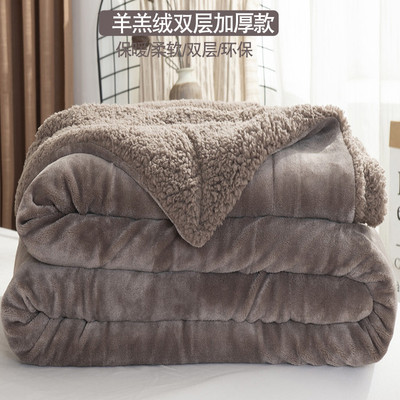 小毛毯沙发盖毯羊羔绒双层加厚珊瑚绒办公室午睡午休冬季儿童毯子