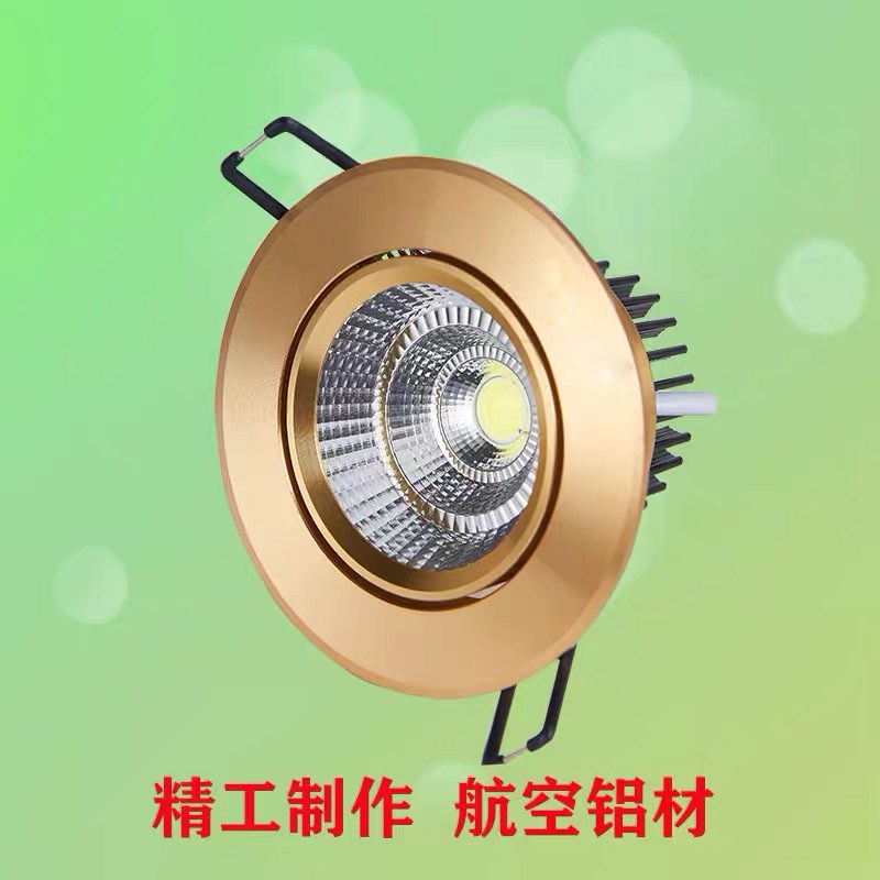 雷欧金色led射灯cob3W5W7W12W15W20W30W40W天花牛眼嵌入式客厅孔