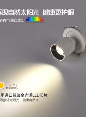 可调角度射灯嵌入式led天花灯家用过道玄关照画客厅背景洗墙灯