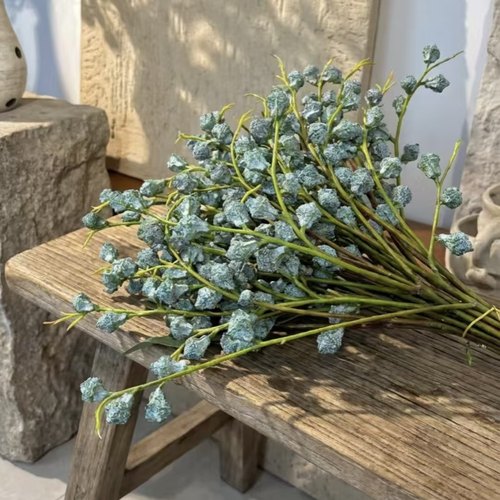 1扎尤加利果（1扎3-5枝）+1个塑料花瓶 (两单发顺丰或京东快递)