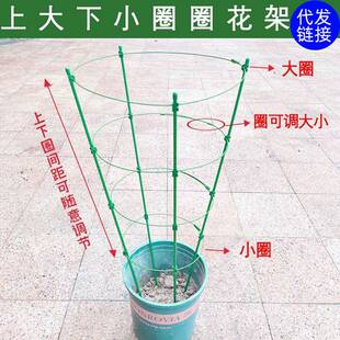 文竹支撑架爬藤架子月季花架室内花卉植物支撑杆绿萝铁线莲攀
