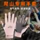 徒步运动装 爬山手套户外登山装 备攀岩专用防滑耐磨专业女款 备专业