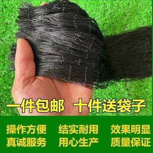 防蛇专用网尼龙网报警器长虫养殖防护尼龙单层网防护网粗线
