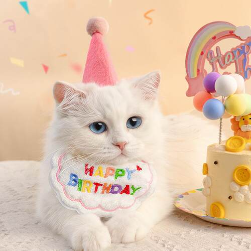跨境宠物猫咪狗狗生日帽围兜派对帽子饰品生日派对套装用品口水巾