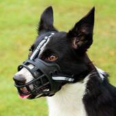 狗嘴套防乱吃防狗狗咬叫扰民小型中大型犬口罩宠物止吠神器嘴巴套