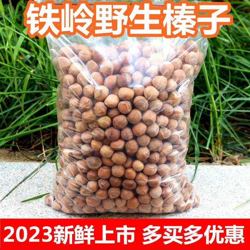 正宗东北铁岭新鲜野生小榛子2023特产干果生榛子散装坚果生的榛子