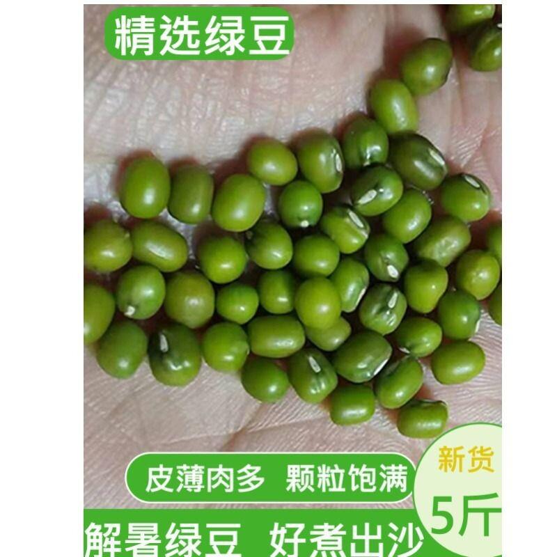 正宗新绿豆新鲜东北小绿豆新货发芽农家自产皮薄发绿豆芽汤粥材料