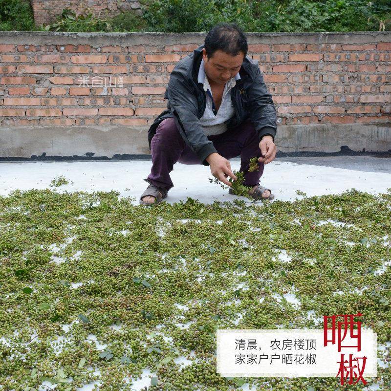 正宗青麻椒特麻500g藤椒粒四川散装汉源绿干青花椒粉香辛料调料特