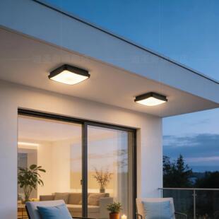 超薄农三吸顶灯户外防水防虫XD9003阳台走廊别防墅门村厅庭屋檐院