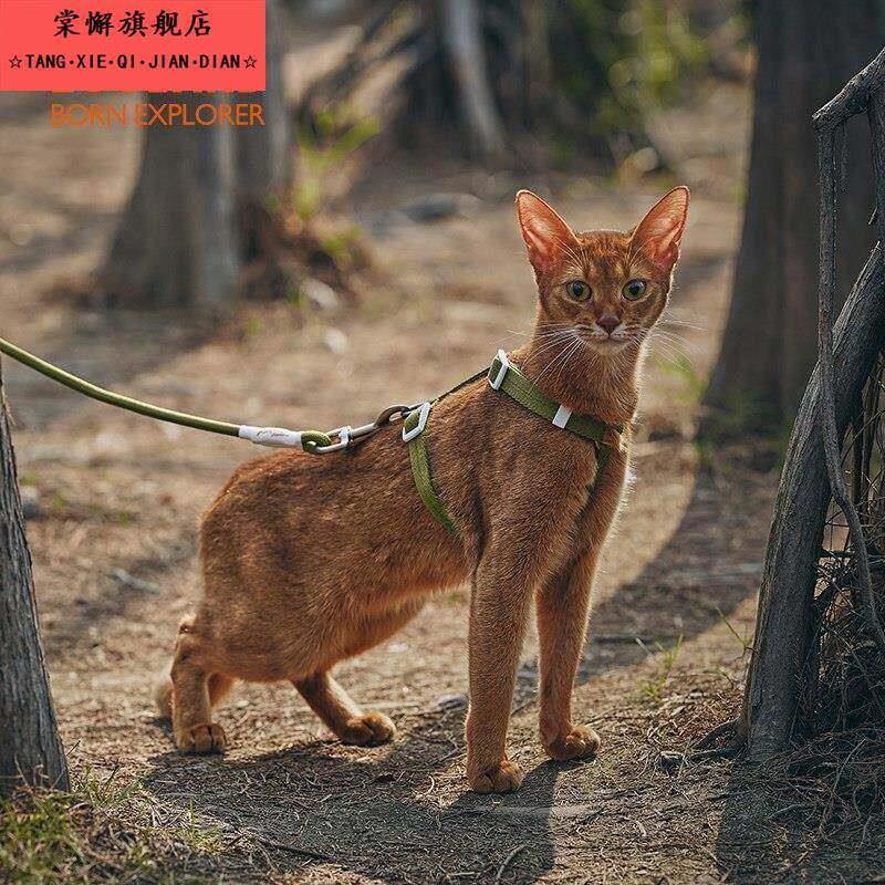 绳猫绳牵引猫25583咪牵引绳牵绳猫咪专用咪牵引绳防挣脱外猫出专