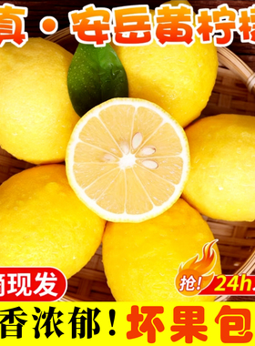 新鲜黄柠檬安岳核心产区现货速发柠香浓郁坏果包赔独立包装汁水足